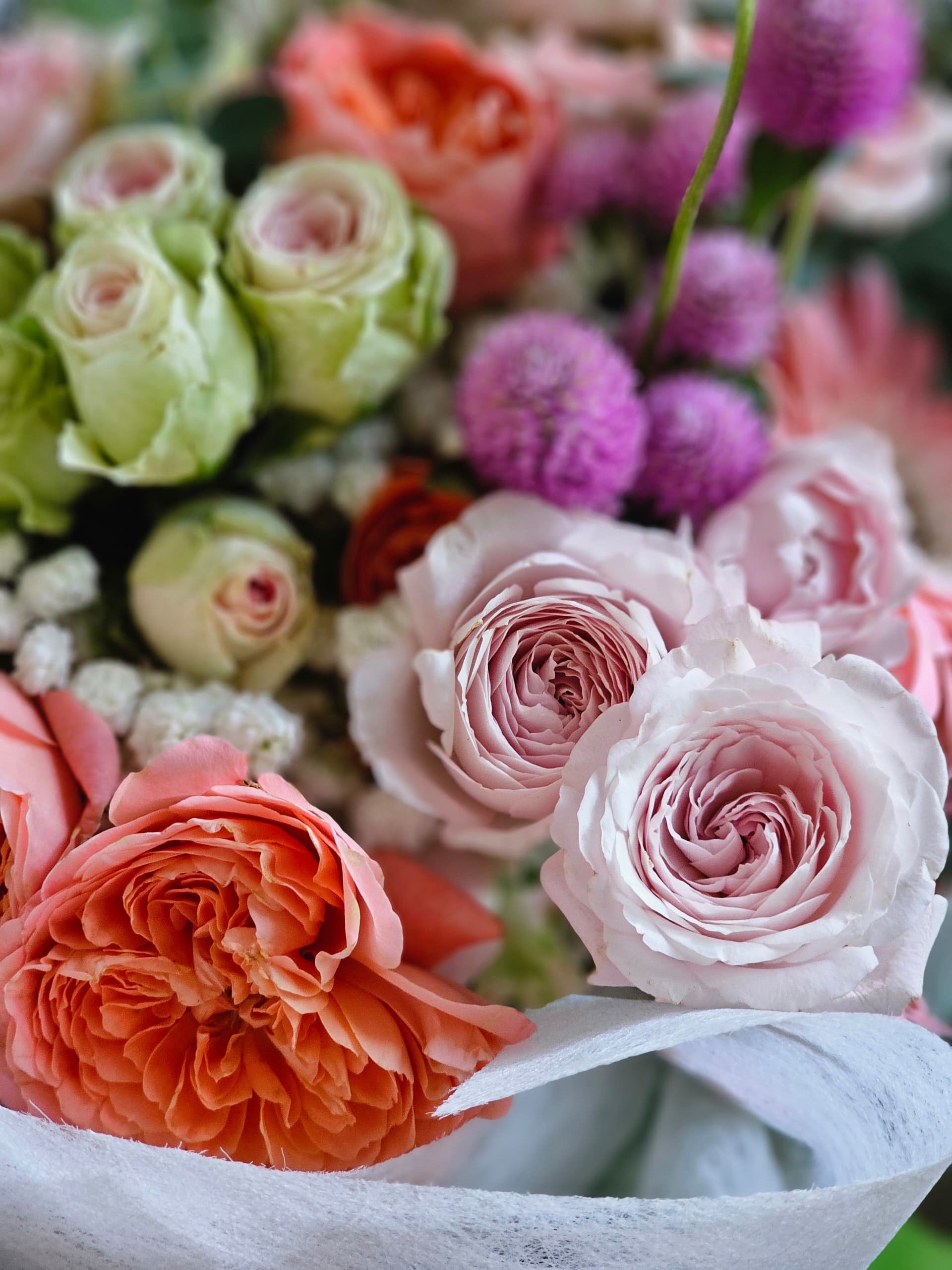 7c90c5e2-a0c8-4dc4-a62d-e2e69e316f27